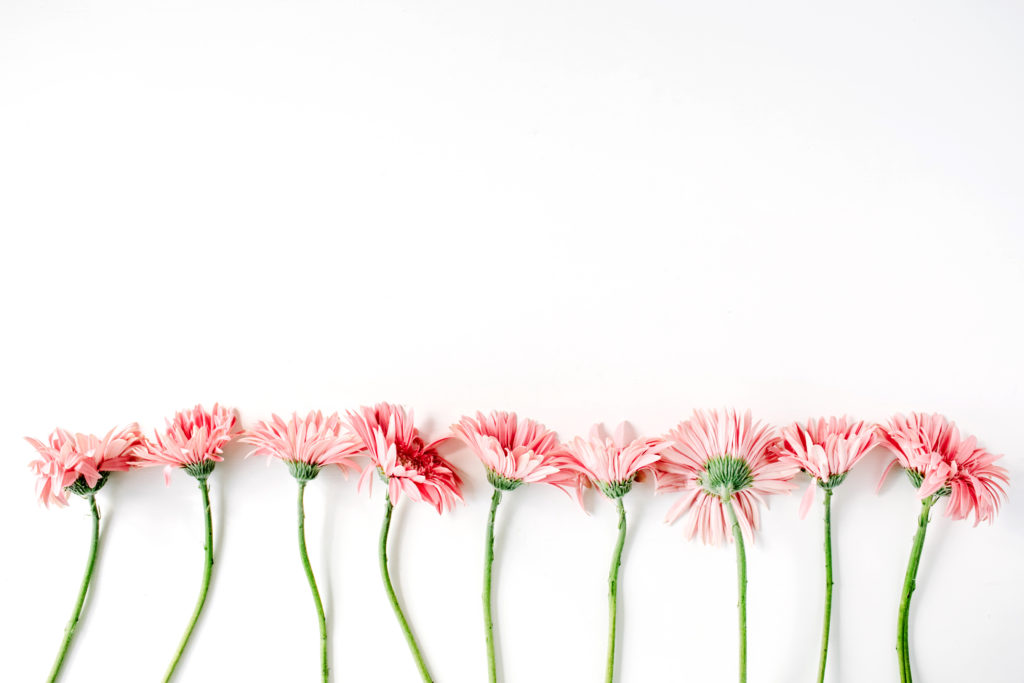 Vieles NEU - Alles ALTBEWÄHRT