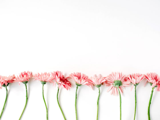 Vieles NEU - Alles ALTBEWÄHRT