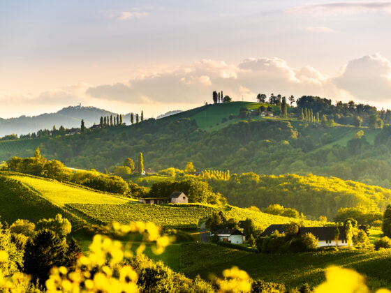Steuerberater Leibnitz - ihre Steuerberater in Graz und Leibnitz - leopold steuerberatung gmbh